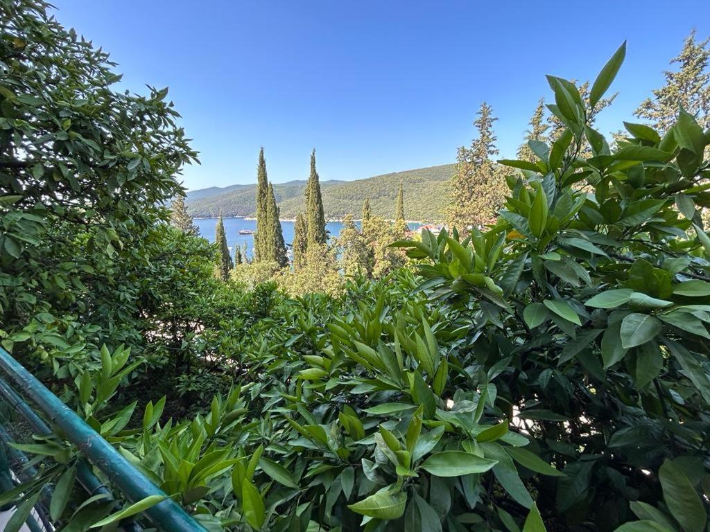 Apartma Apartment Near The Sea 650